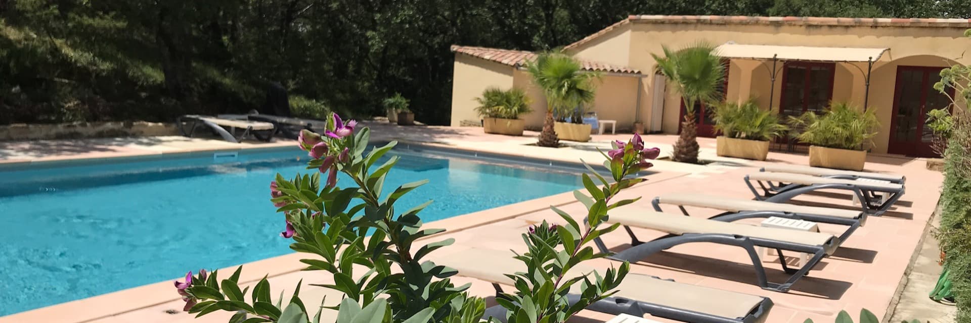 Goûts de Provence
