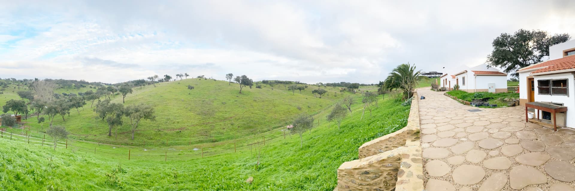 Mama-Adama Alpaca farm